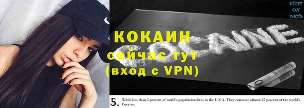 винт Балахна