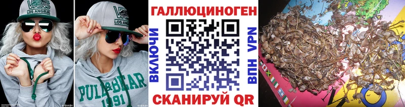 купить   Краснознаменск  mega зеркало  Галлюциногенные грибы прущие грибы 
